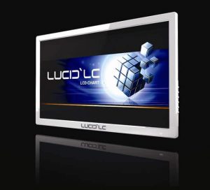 Panel LCD everview Lucid LC24